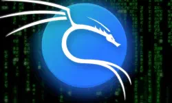 Featured image of post Kali